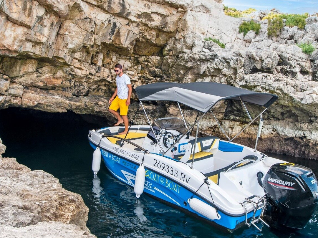 Goat a Boat-罗维尼必去景点