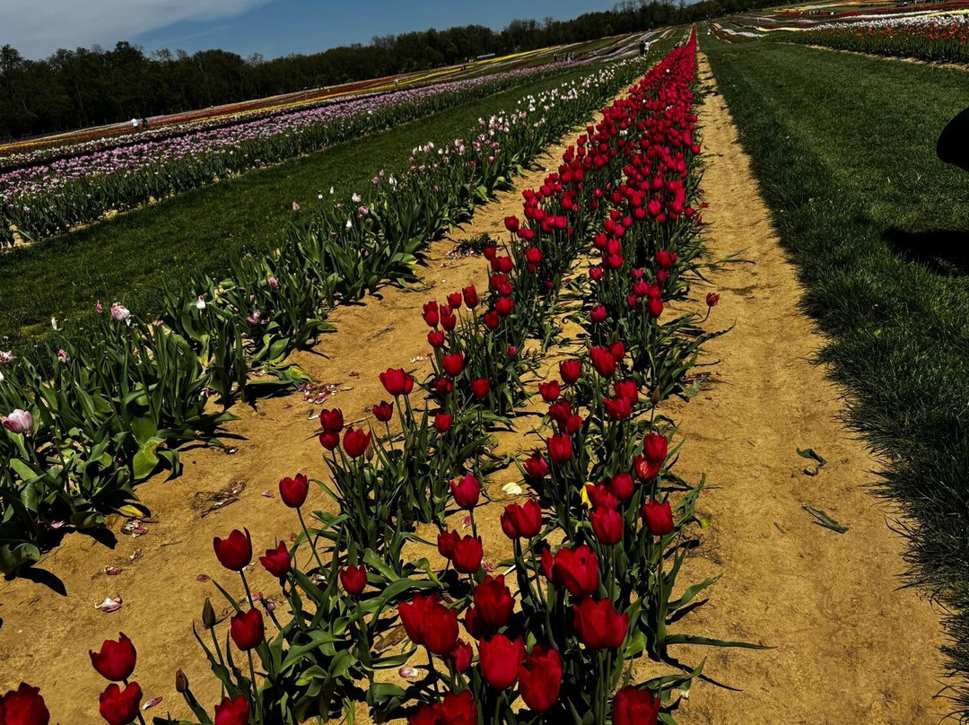 Holland Ridge Farms-Imlaystown必去景点