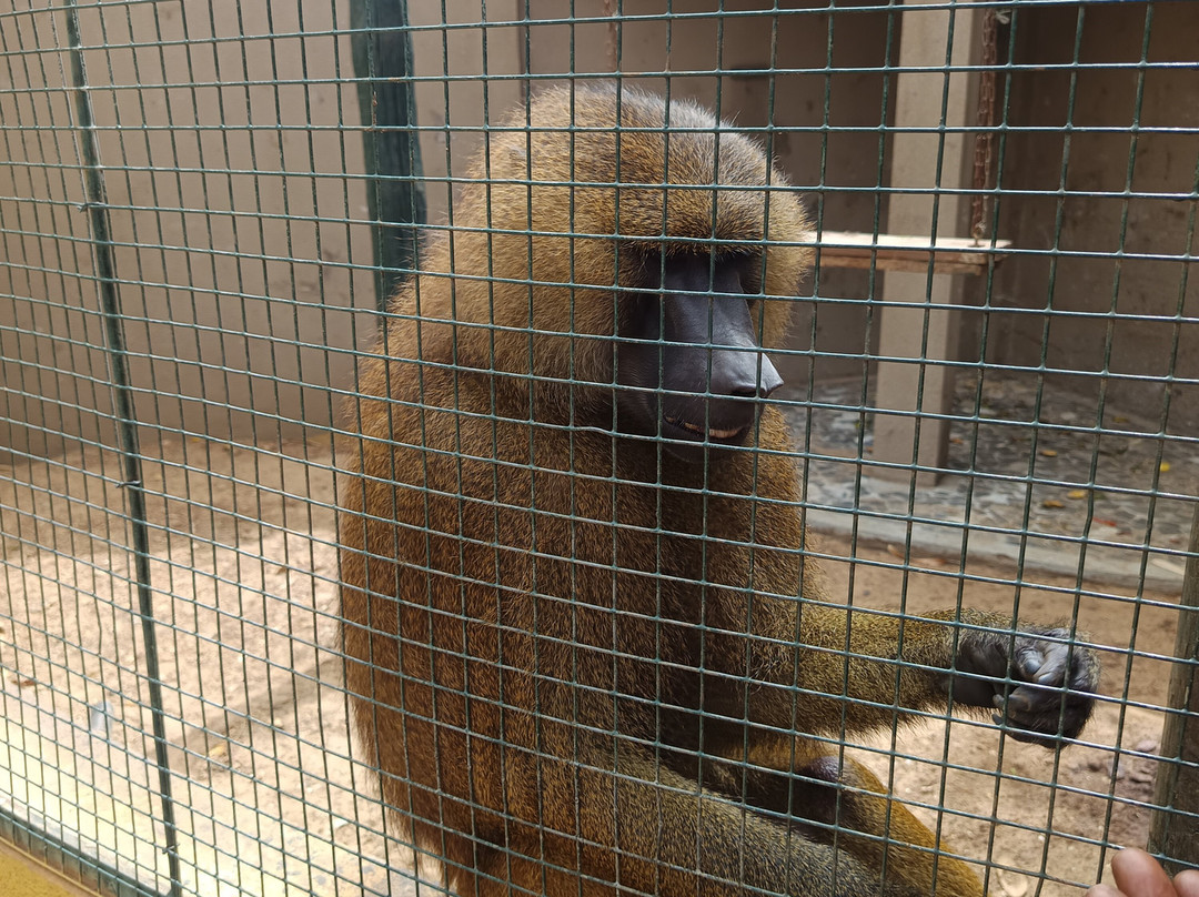 Parc Exotique Du Sénégal景点图片