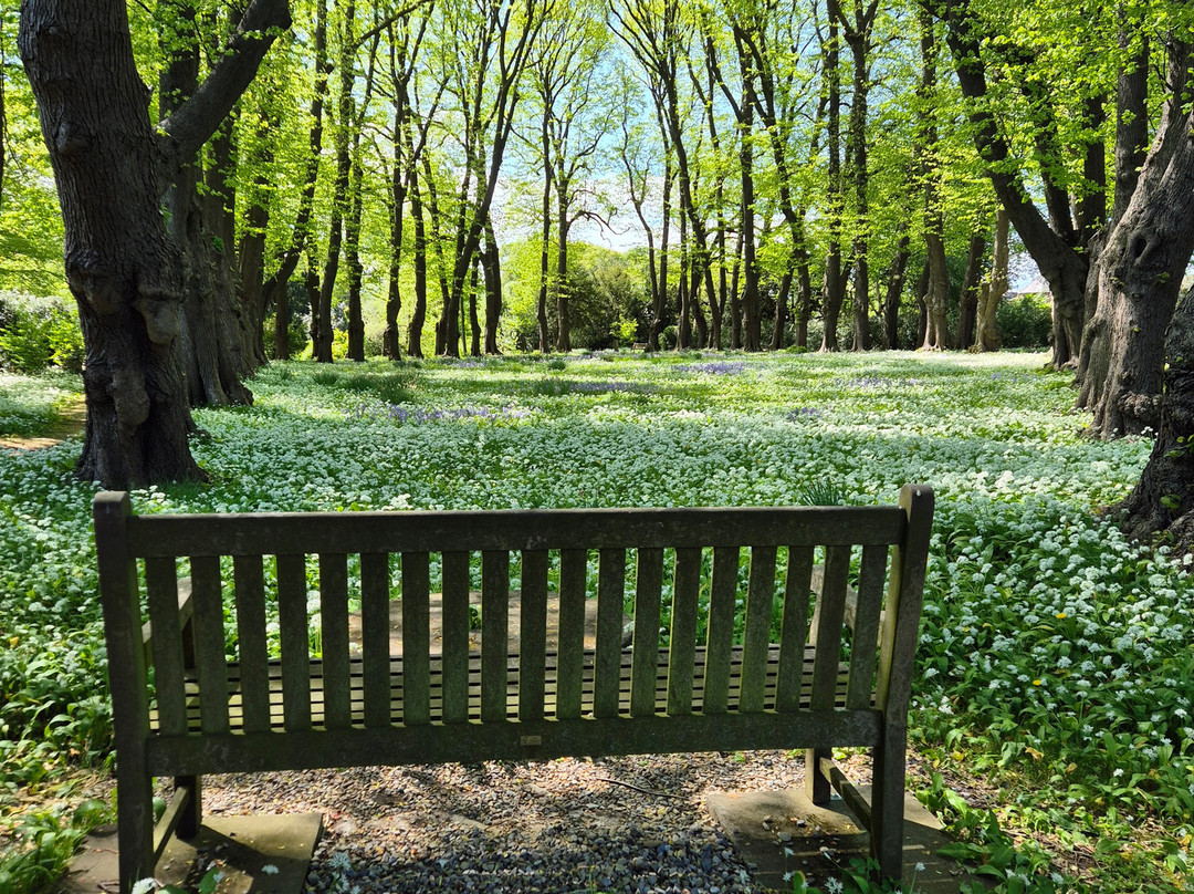 Gisborough Priory景点图片