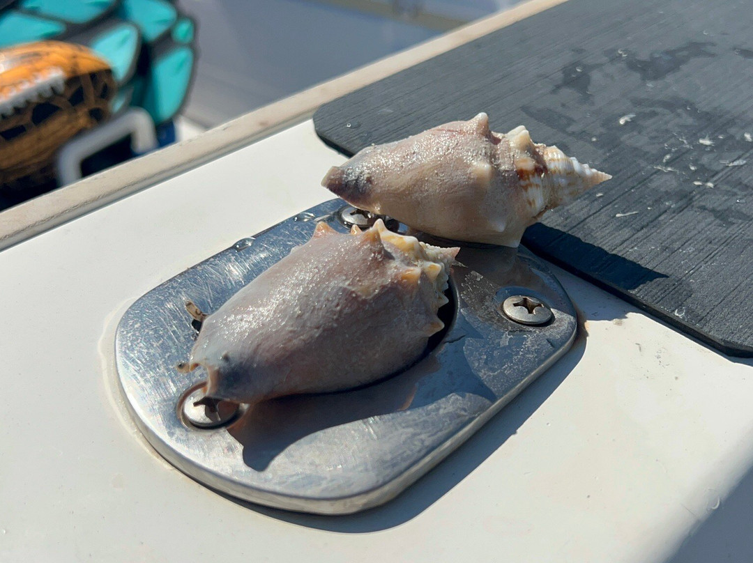 Xotic Island Charters-Cudjoe Key必去景点