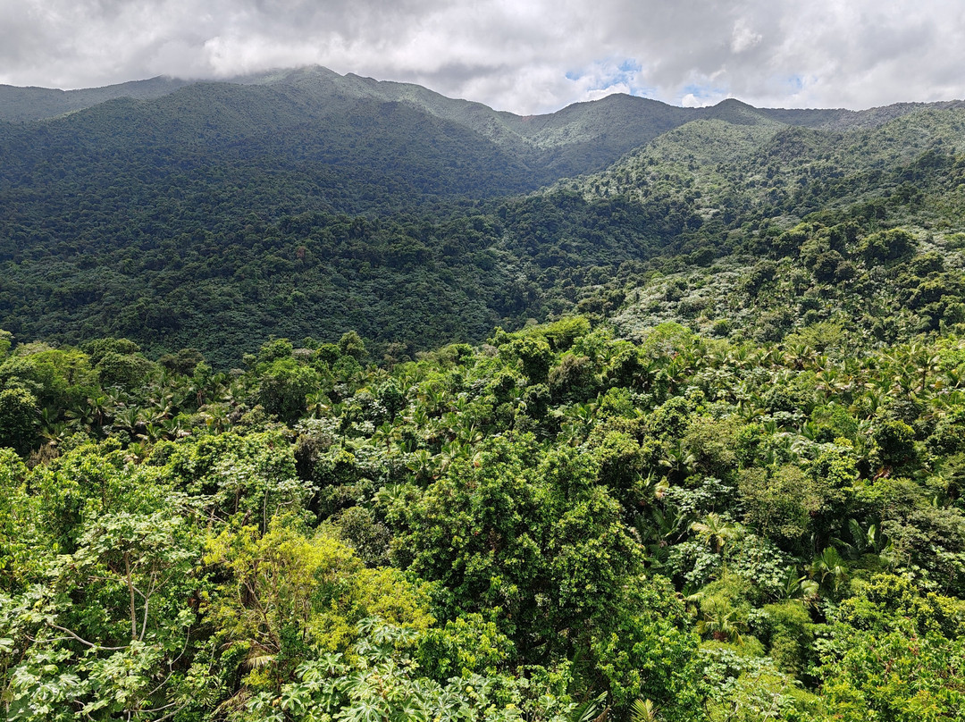 Torre Yokahú-云盖国家森林公园必去景点