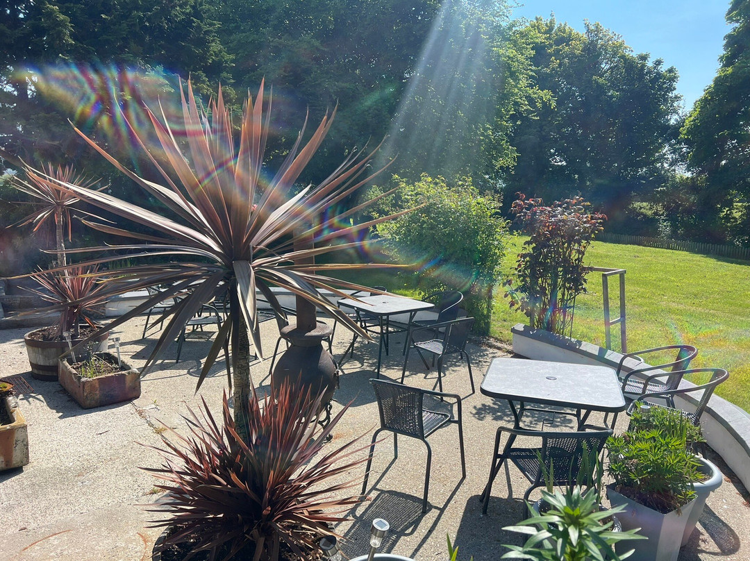 The Willows Self Catering Studios & Bed And Breakfast主图