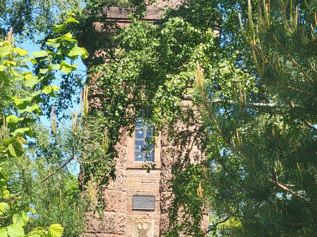 Bismarck Tower-兰茨图尔必去景点