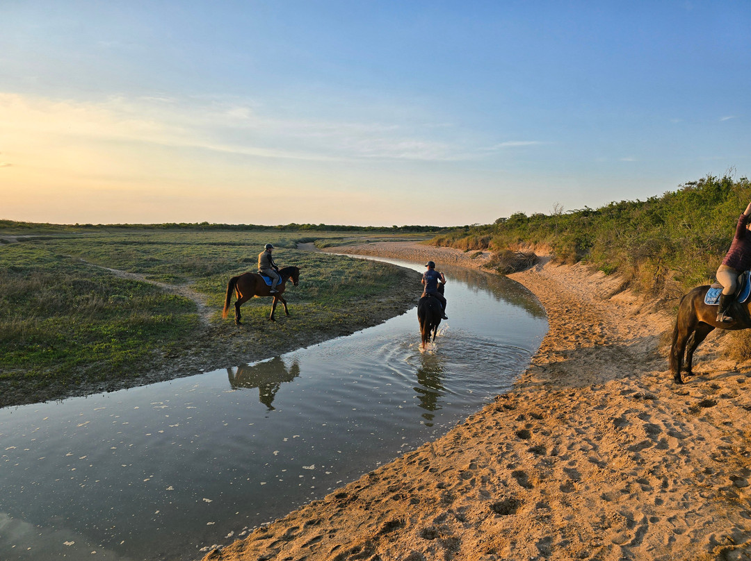 Les Crins de la Baie-Merville-Franceville-Plage必去景点