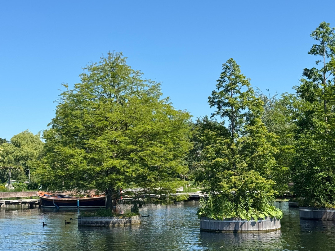 Rotterdamishot.nl景点图片