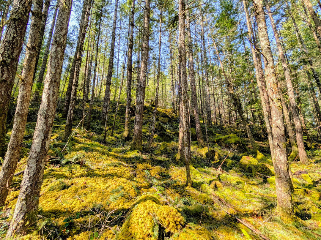SloCat Harbour Tours-马德拉公园镇必去景点