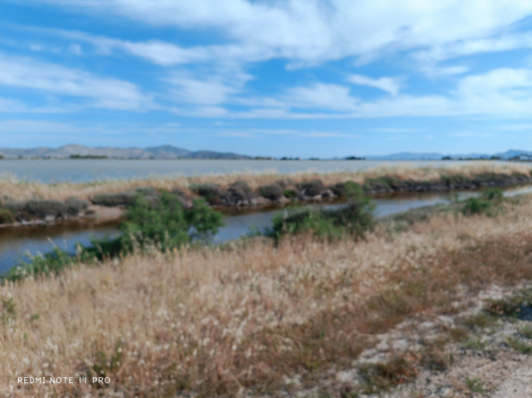 Horse Riding Family Farm-Kos Town必去景点