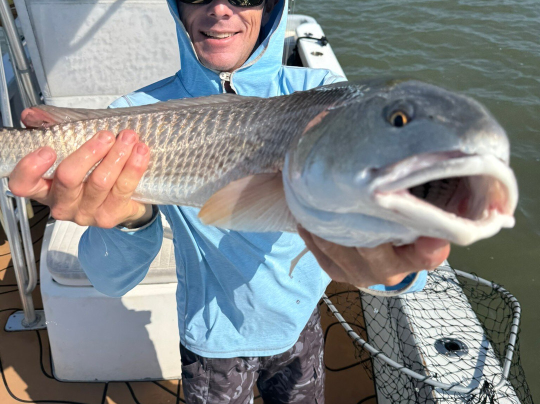 Charleston Fishfinder Charters-棕榈岛必去景点