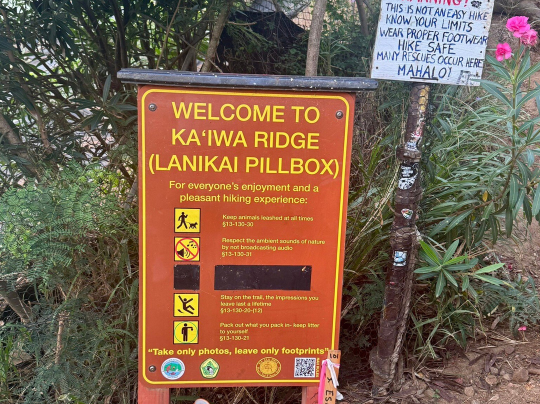 Lanikai Pillbox Trail-科纳必去景点