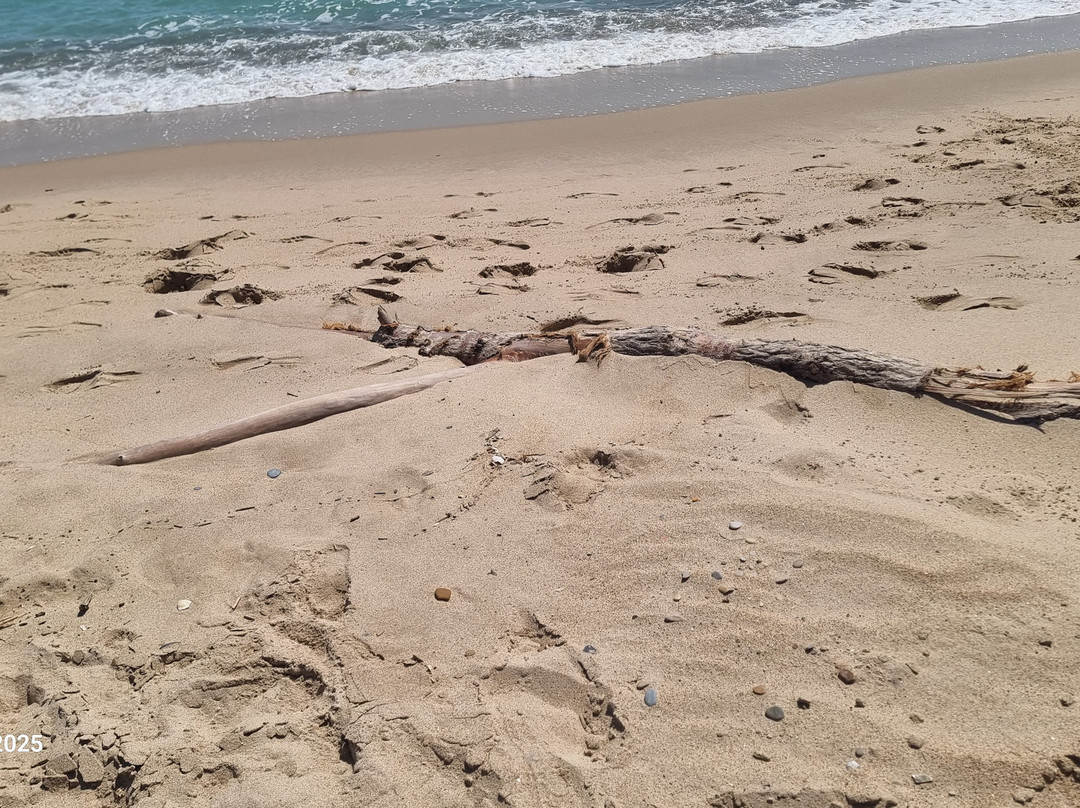 Playa de El Saler