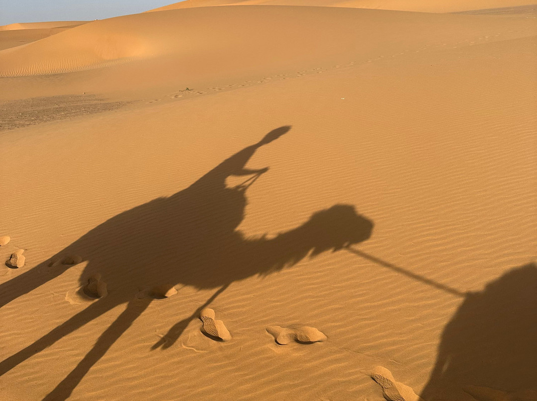Morocco Joy Travel-马拉喀什必去景点