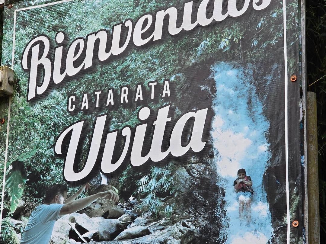 Uvita Paradise Adventures ( Zip Line)景点图片