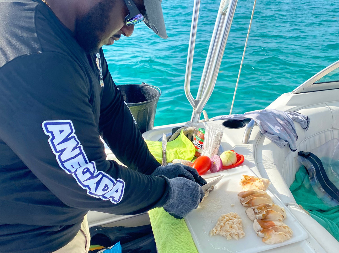 Horseshoe Reef-Anegada必去景点