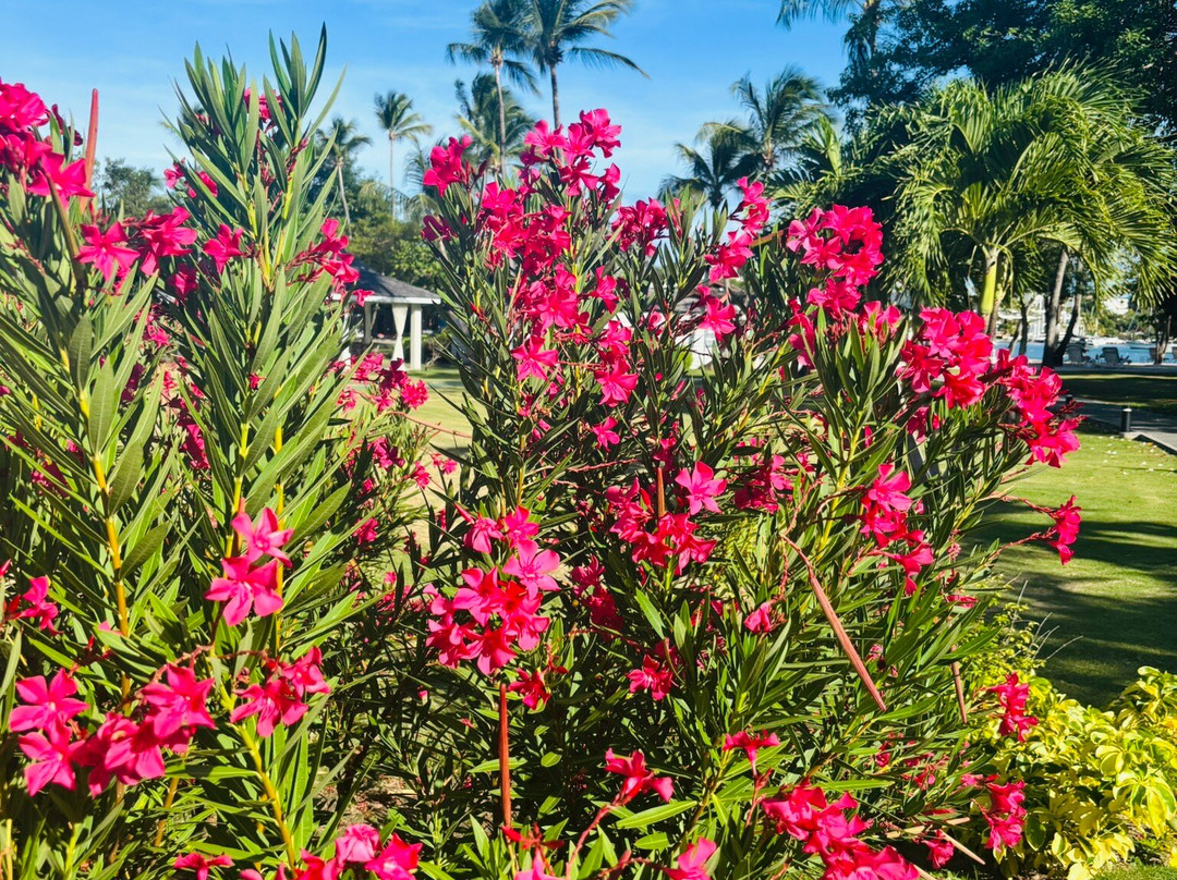 Mount Hartman Bay Estate主图