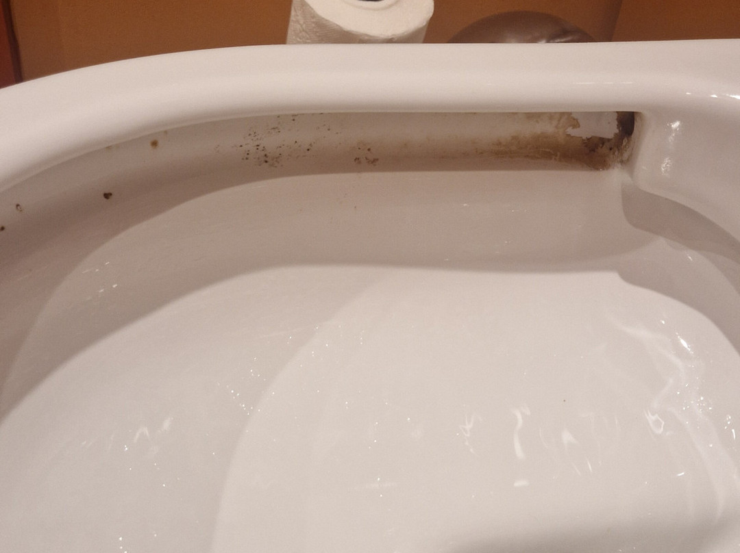 Hex Wildlife Hotel主图