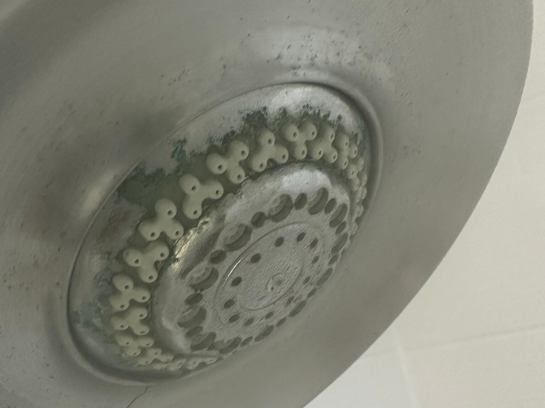 Holiday Inn Express & Suites Biloxi- Ocean Springs By IHG主图