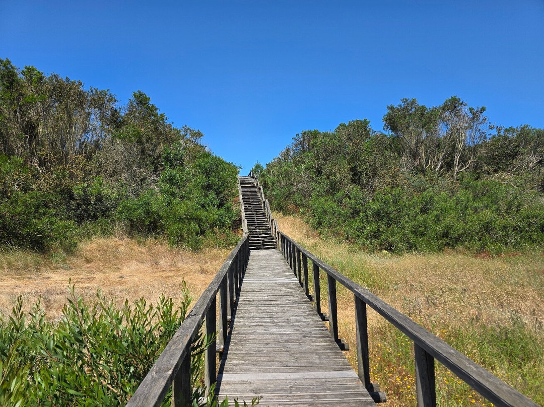Reserva Natural das Dunas de Sao Jacinto景点图片