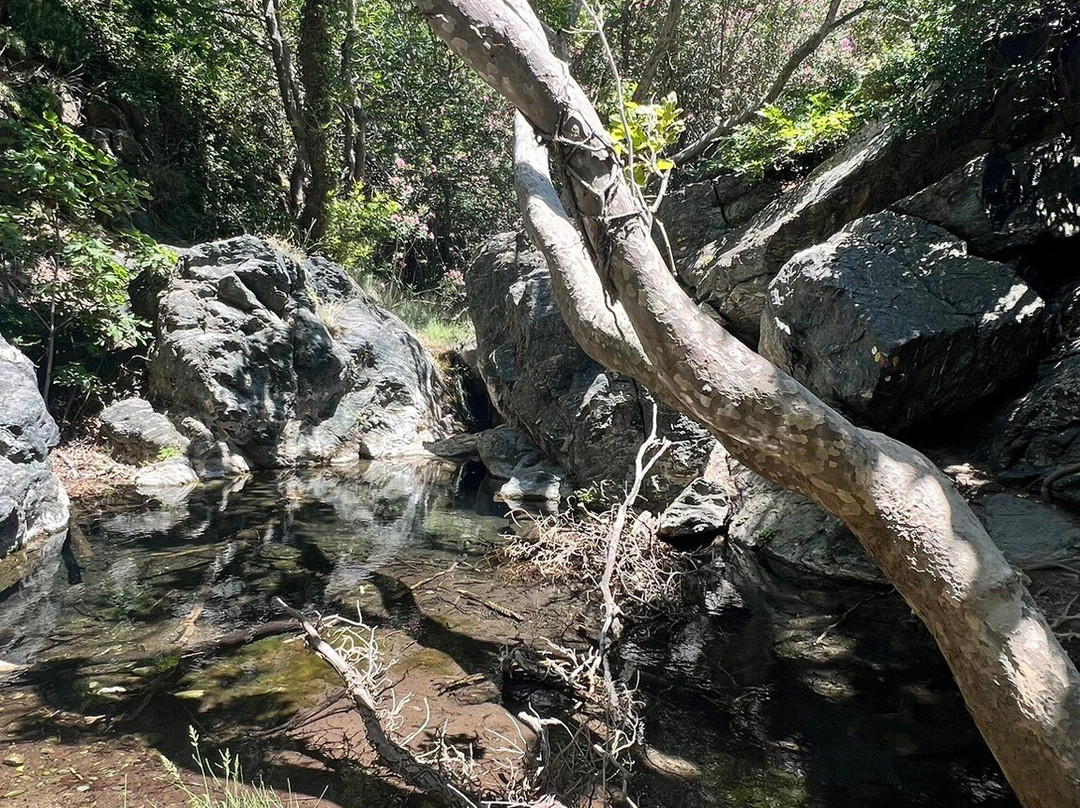 Richtis Gorge景点图片