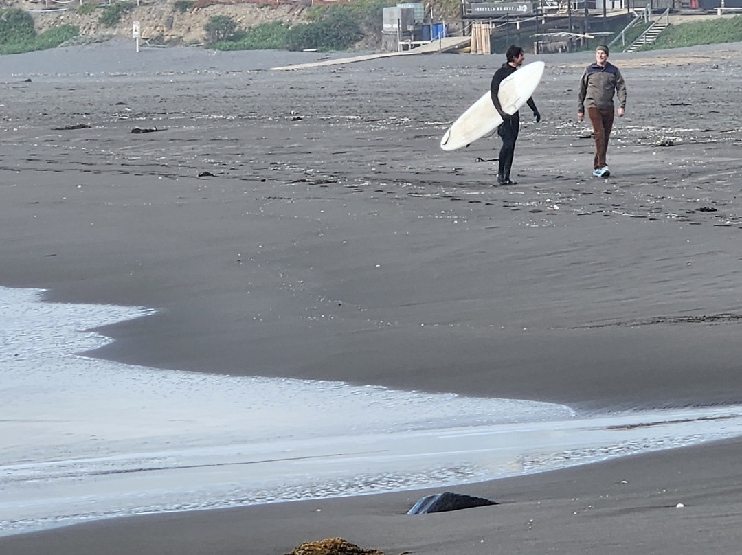 Hotel Alaia - Punta De Lobos主图