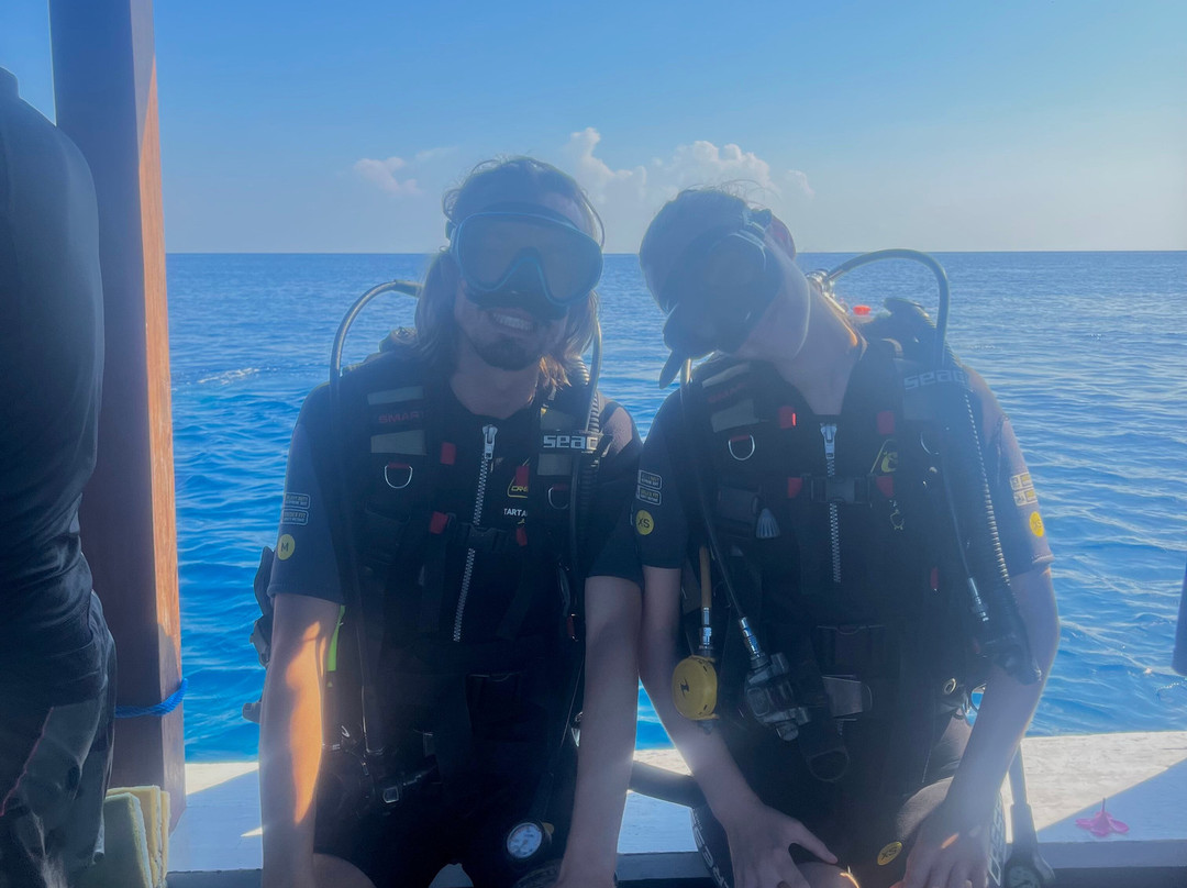 Blue Marlin Dive Gili Air景点图片