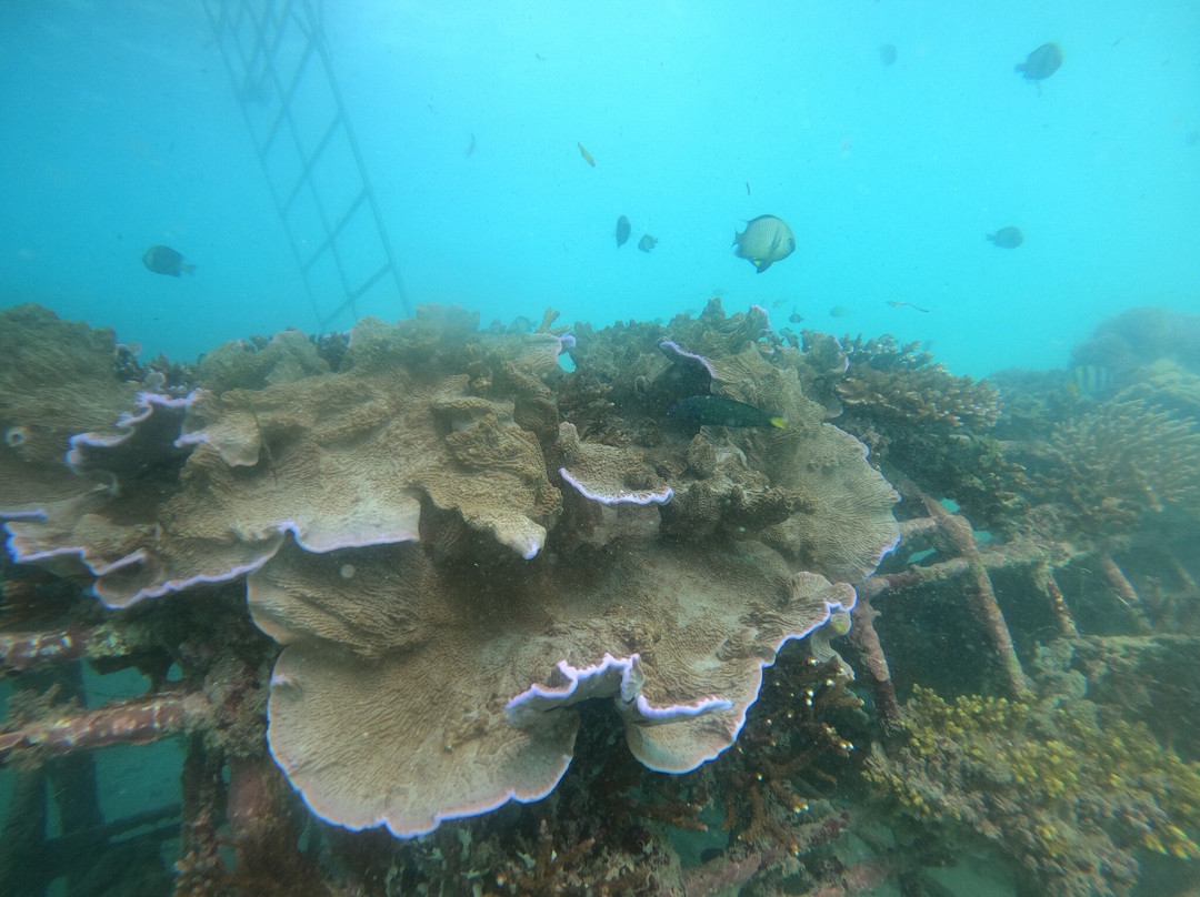 Benoa Tirta Harum Watersports-努沙杜瓦必去景点