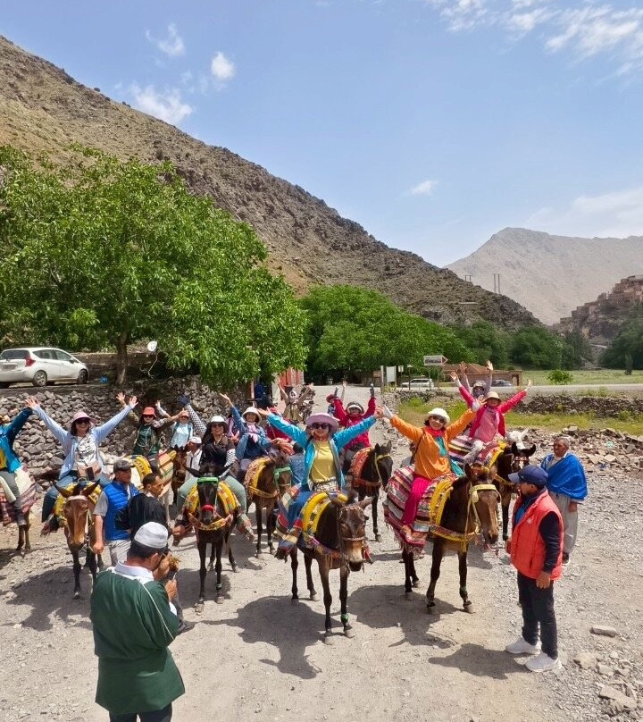 Momo Adventures-马拉喀什必去景点