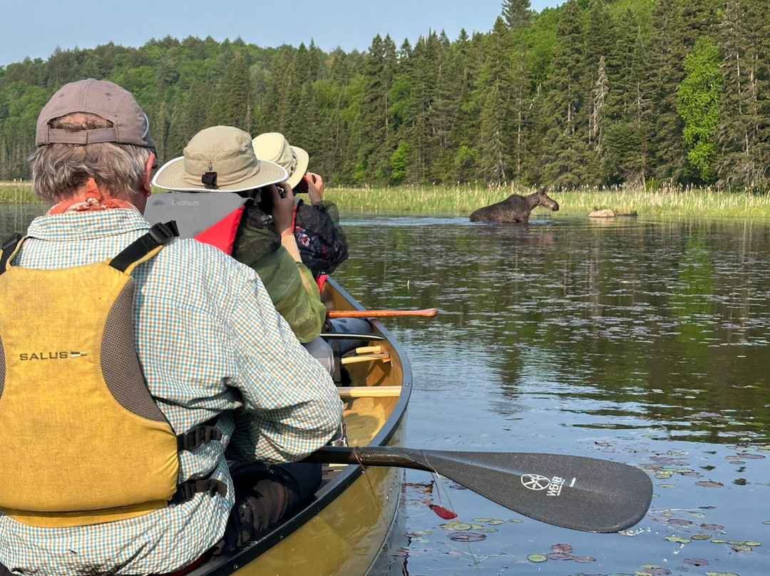 Voyageur Quest Outfitting and Algonquin Wilderness Centre-Kawawaymog Lake必去景点