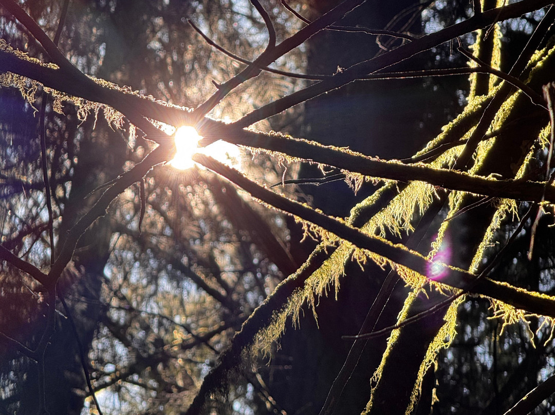 Cornerstones Bed & Breakfast主图