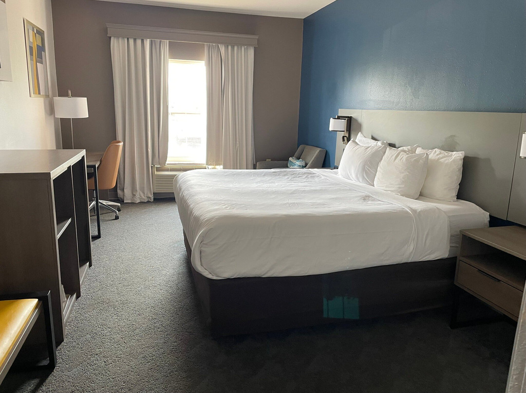 Comfort Inn & Suites主图