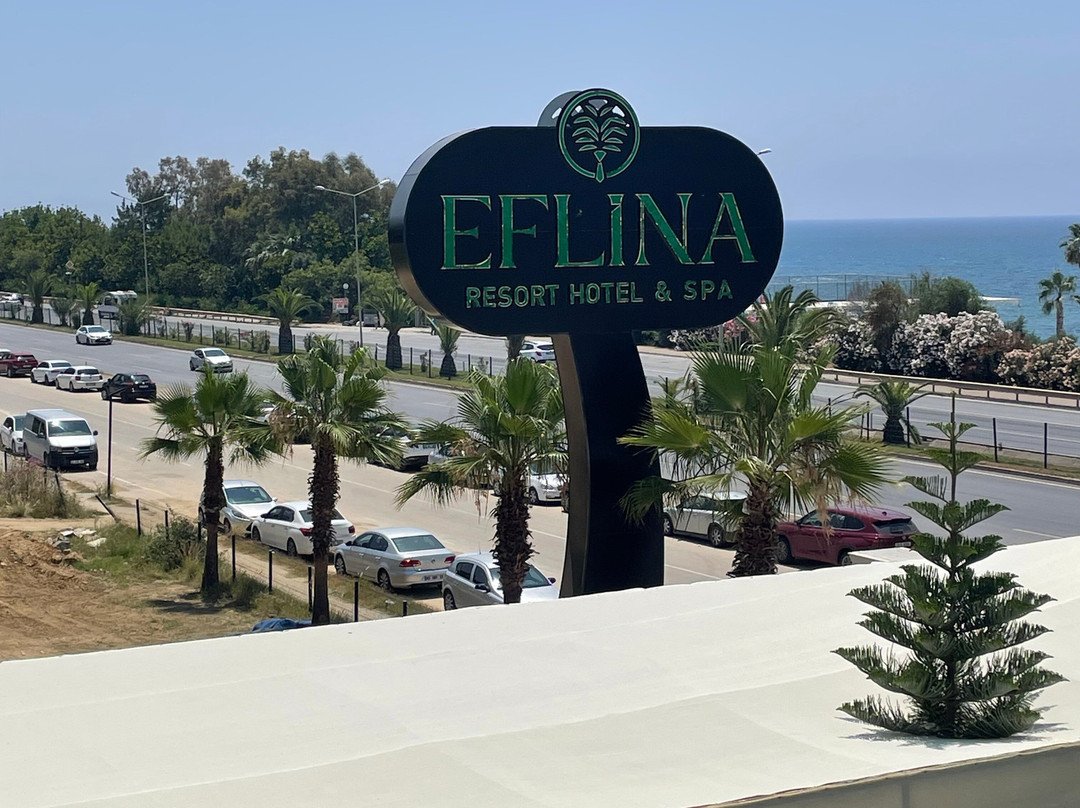 Eflina Resort Hotel&spa