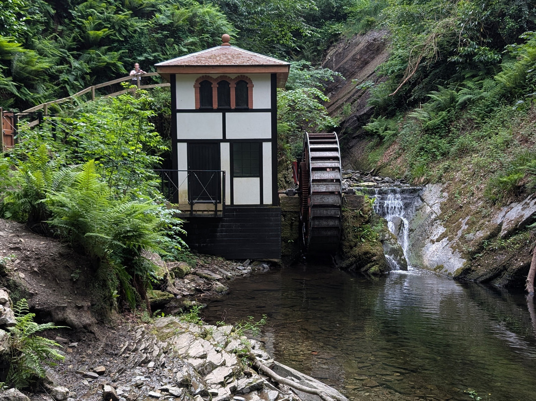 Groudle Glen Railway-Douglas必去景点