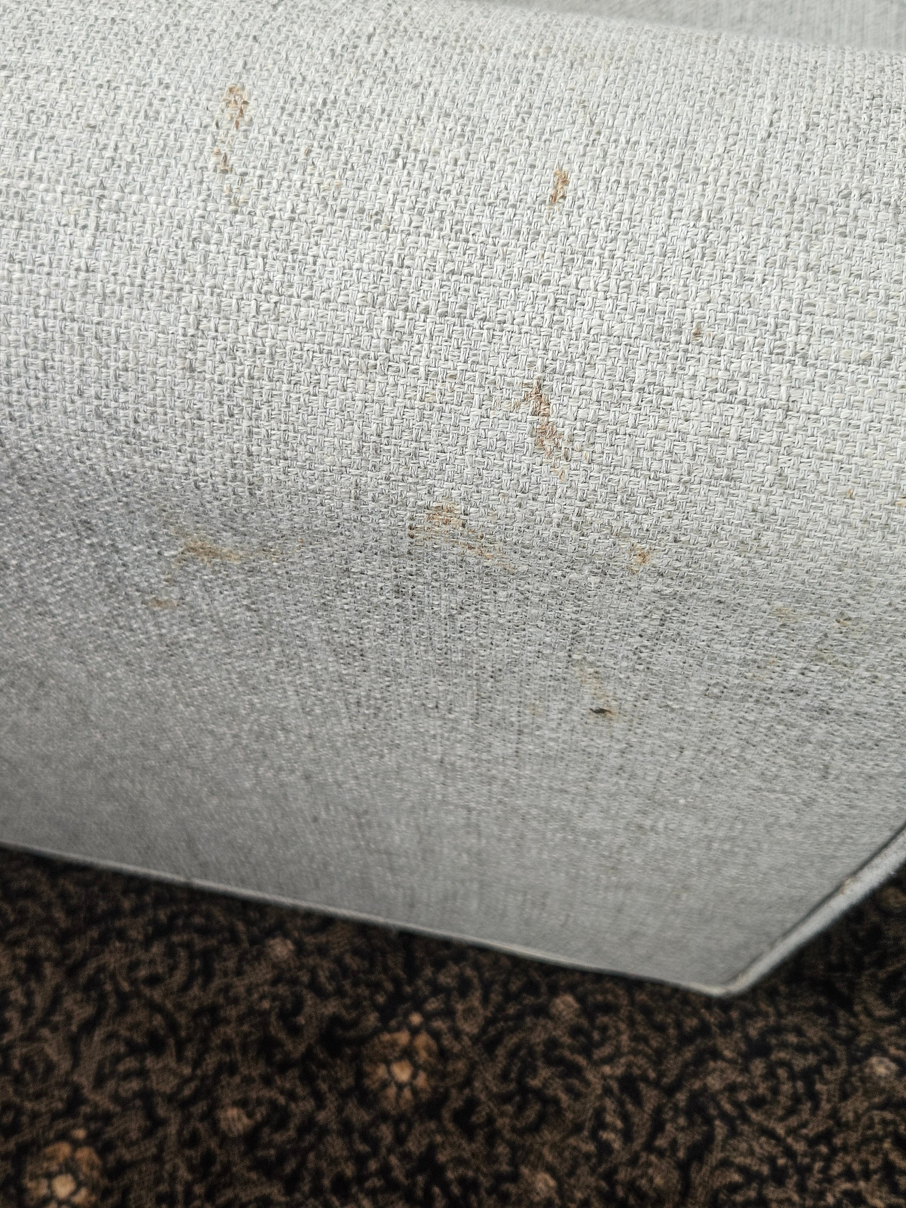 Ocean House Hotel at Bass Rocks-客卧