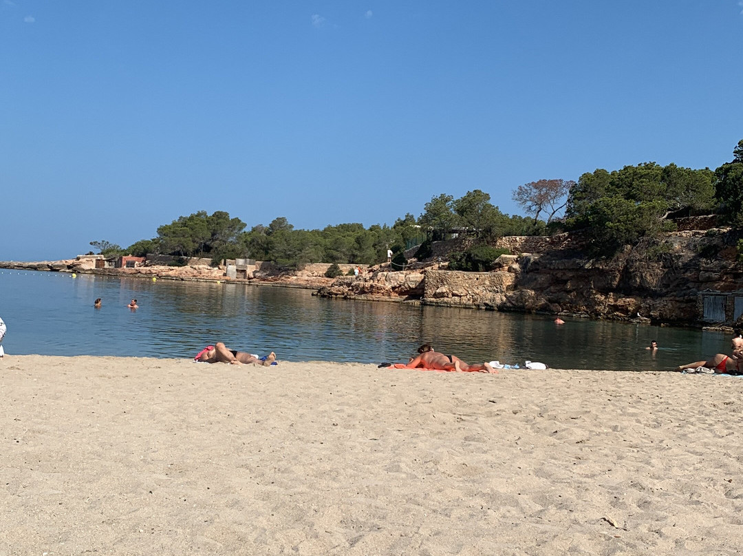 Cala Gracio-圣安东尼德波特曼尼必去景点