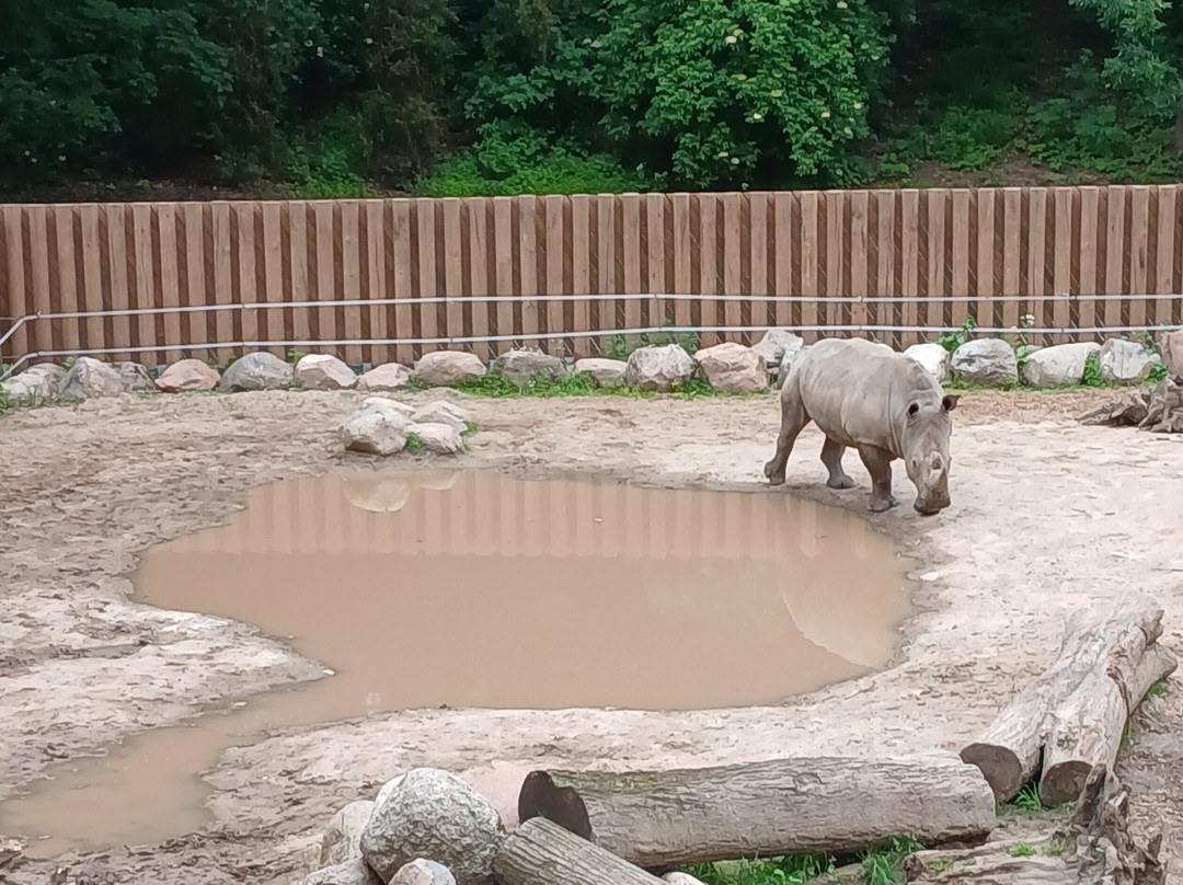Zoopark Kaunas-考那斯必去景点