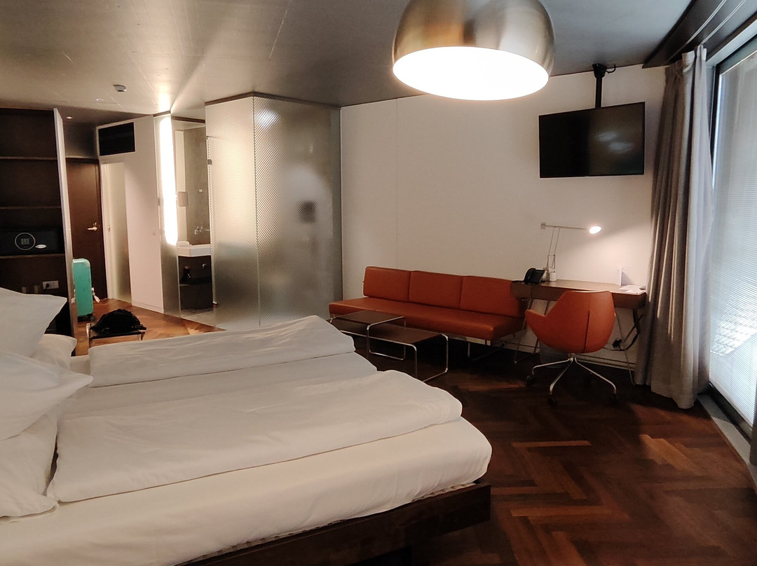 Hirschen Oberkirch Design Boutique Hotel主图