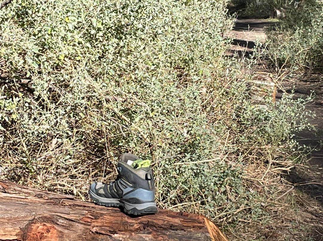 Lerderderg Gorge-Bacchus Marsh必去景点