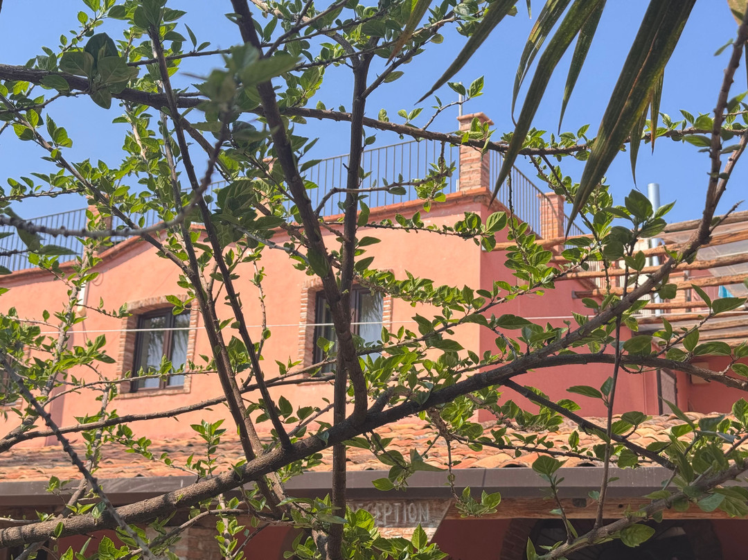 Casantica B&B Turismo Rurale主图