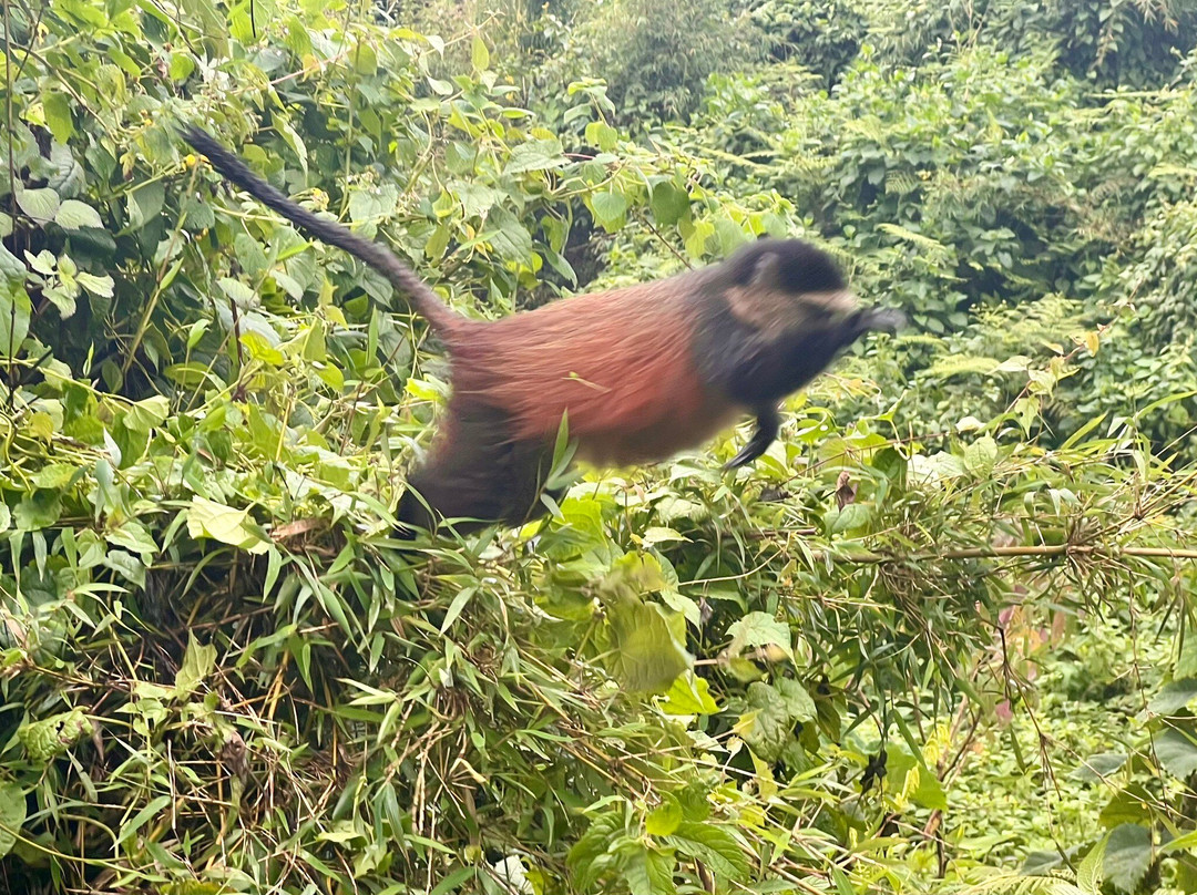 Explore RwandaTours-吉佳利必去景点