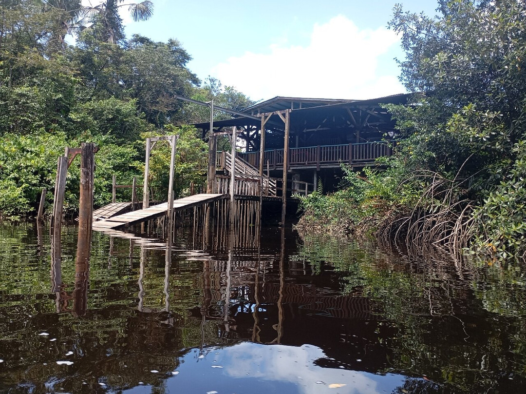 Crique Gabriel-卡宴必去景点