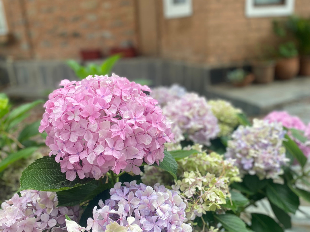 The Lodge At Wah, Kandbari主图