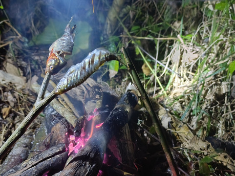 Coya - Amazonas Jungle Tour-莱蒂西亚必去景点