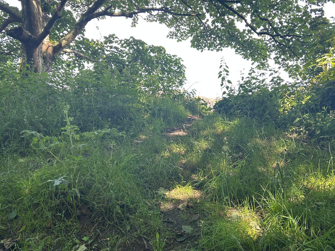 Penrhos Country Park-Holyhead必去景点