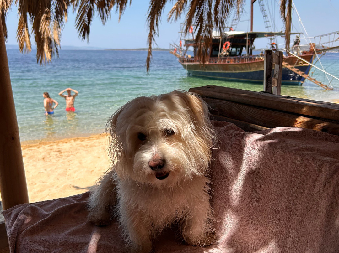 Paralia Aretes-Sithonia必去景点