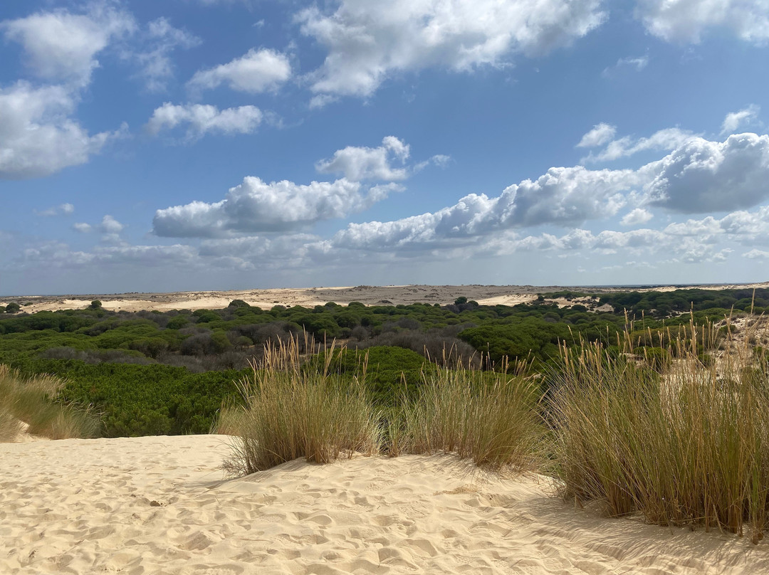 Donana Visitas-El Rocio必去景点