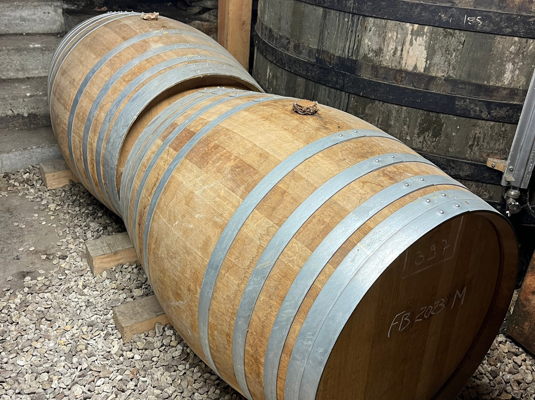 Cognac Vaudon-Echallat必去景点