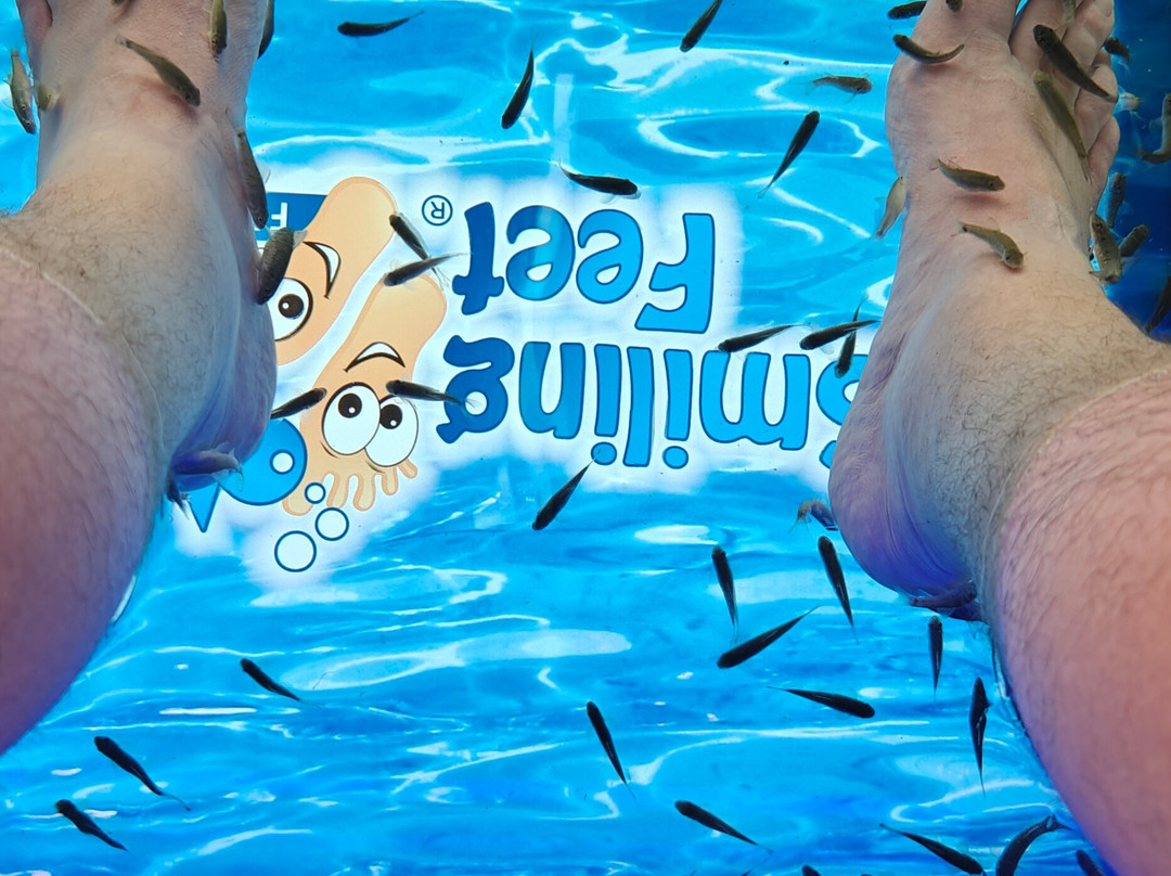 Smiling Feet Fish Spa-帕格拉必去景点