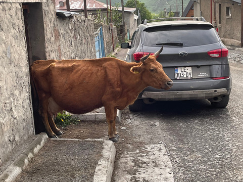 Travel Team Georgia-第比利斯必去景点