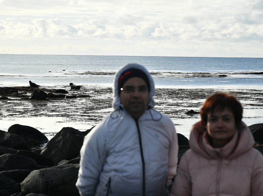 Ytri Tunga Beach-布迪尔必去景点