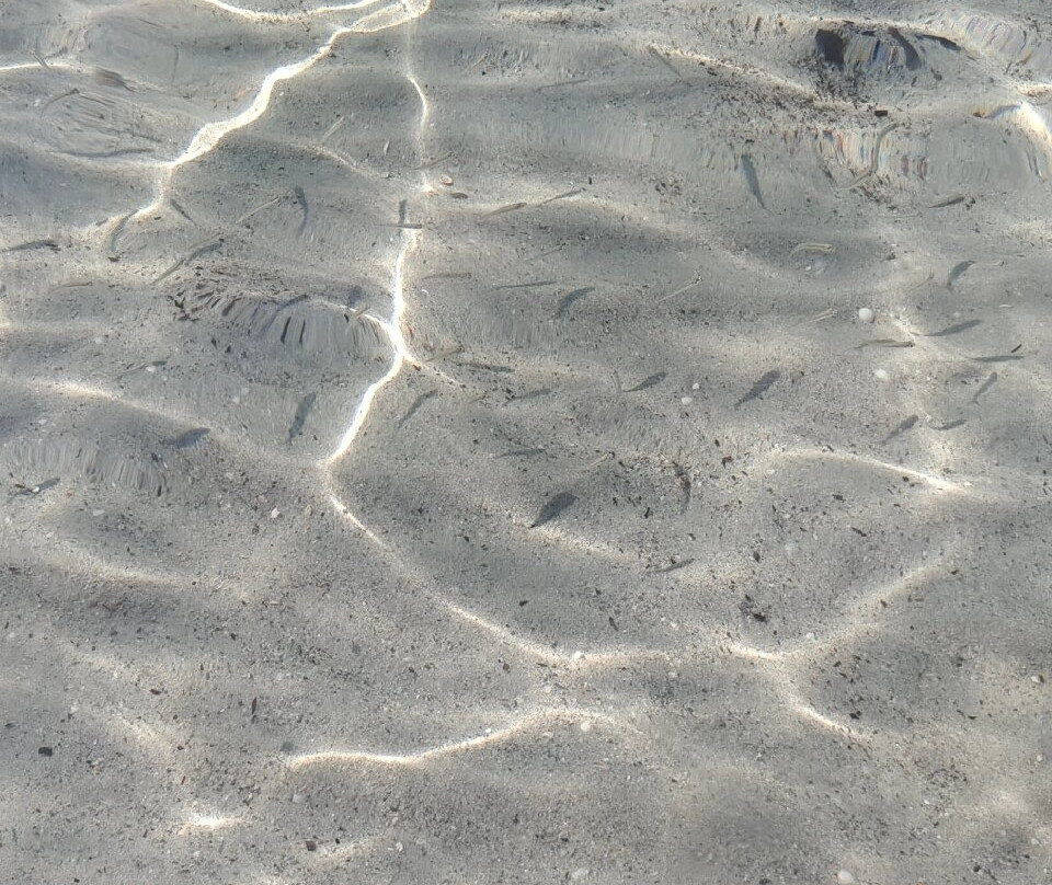 Spiaggia del porticciolo di Punta Aldia-Puntaldia必去景点
